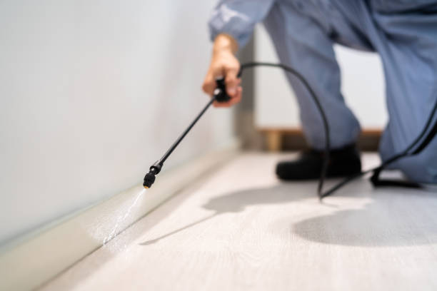 Licensed Termite Control service in Rockdale, IL - Nex Pest Control