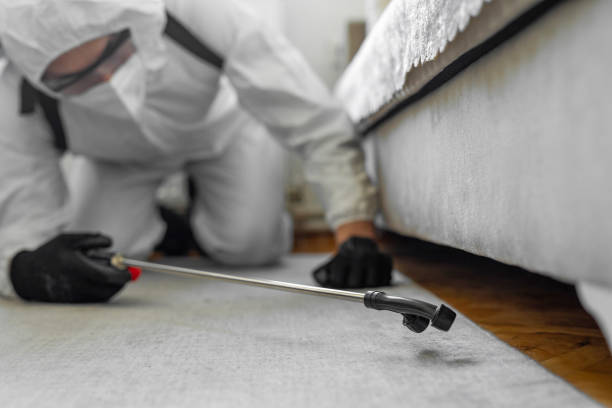 Professional Termite Control technician working in Rockdale, IL