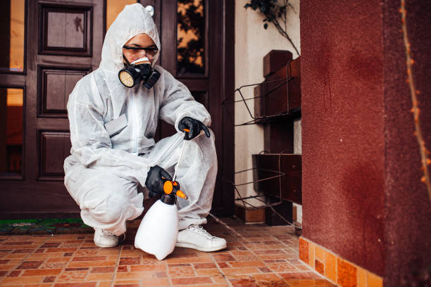 Reliable Termite Control contractor in Rockdale, IL by Nex Pest Control