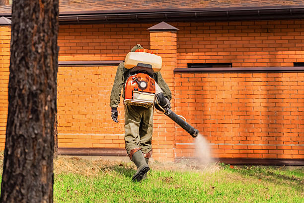 Top rated local Termite Control specialists in Rockdale, IL